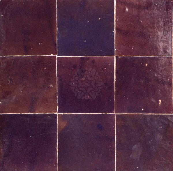 Aubergine Purple